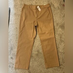LOFT pants